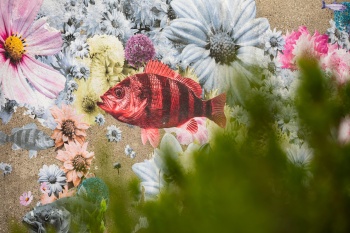 Surreale Strömung – Blüten, Fische und der Zauber der Gegensätze
